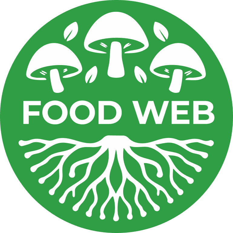 Logo Icon